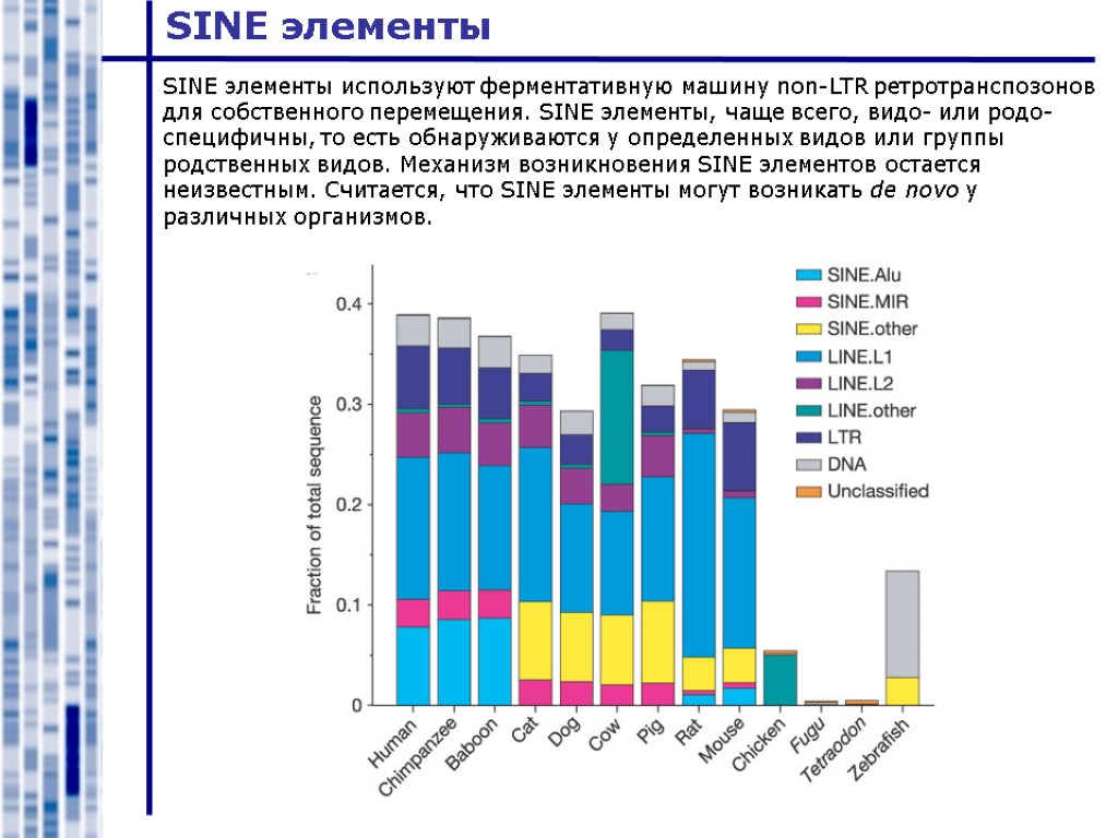 SINE элементы SINE элементы используют ферментативную машину non-LTR ретротранспозонов для собственного перемещения. SINE элементы,